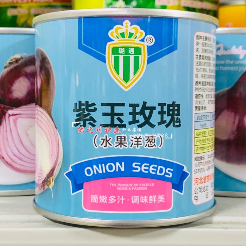 紫玉玫瑰水果洋葱种子甜脆微辣紫红色洋葱种籽抗重茬耐寒洋葱