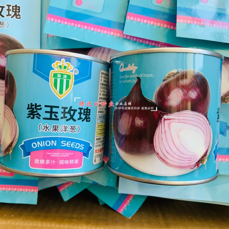 甜脆微辣紫皮洋葱种子水果洋葱种子紫玉玫瑰国外引进紫色洋葱