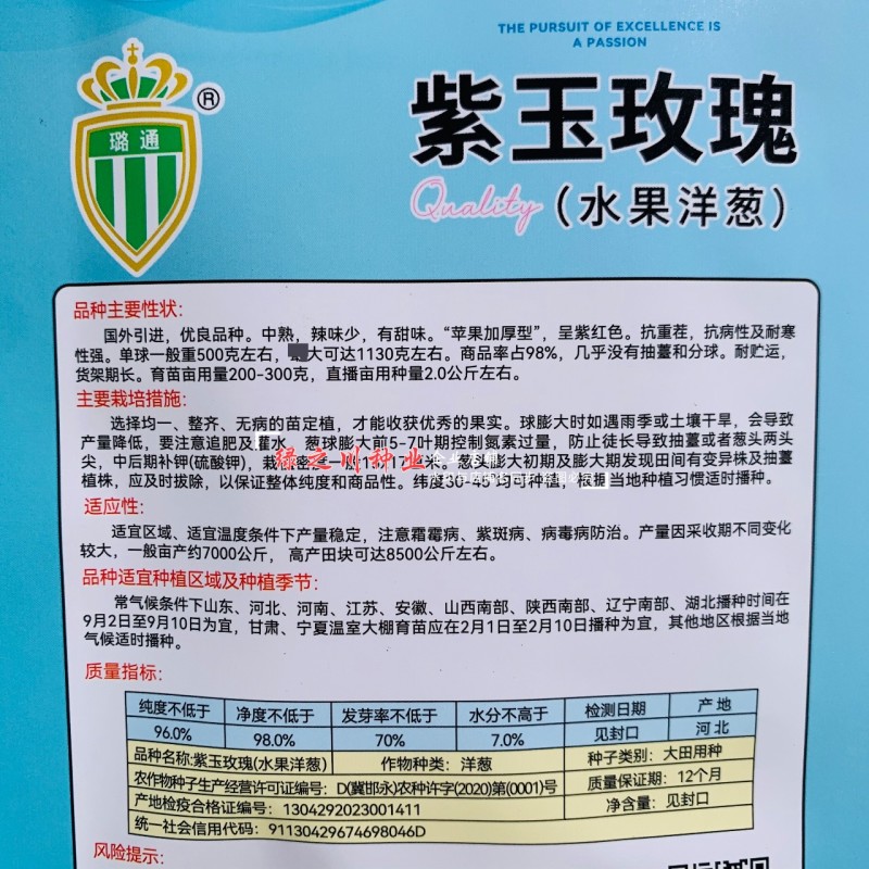甜脆微辣紫皮洋葱种子水果洋葱种子紫玉玫瑰国外引进紫色洋葱