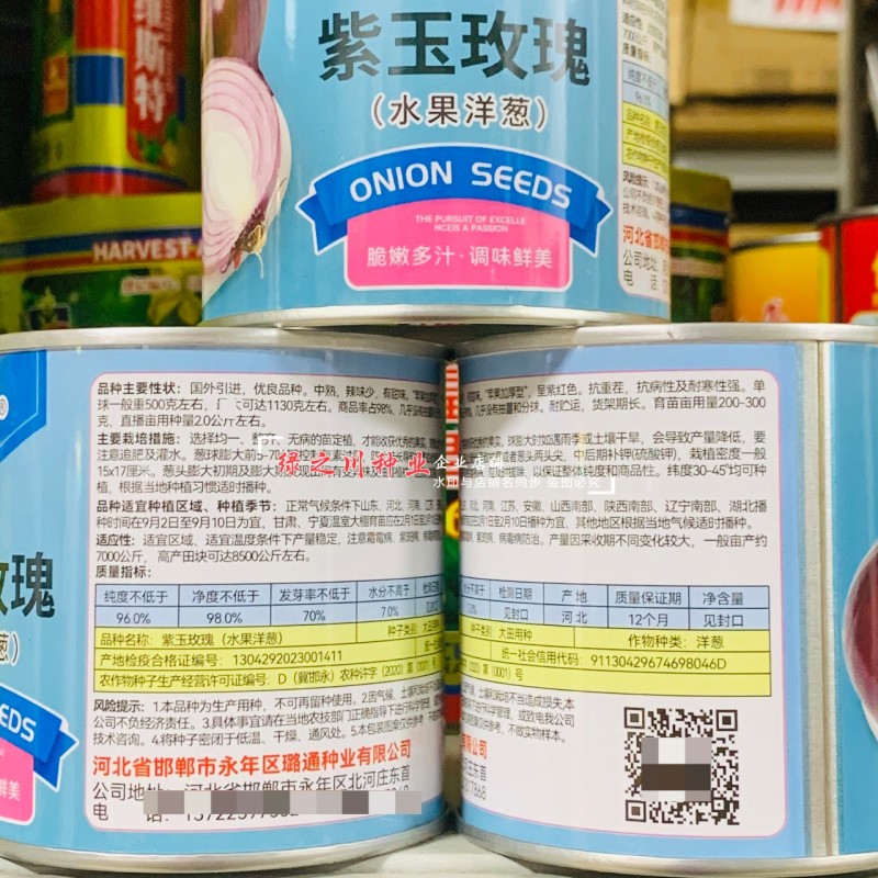 甜脆微辣紫皮洋葱种子水果洋葱种子紫玉玫瑰国外引进紫色洋葱
