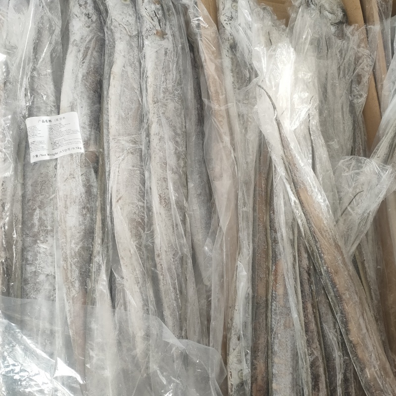 带鱼整条马来带鱼A级B级货源充足量大从优