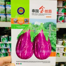 长椭圆型茄子种子彩茄种子红白绿花色条纹茄泰国金丝茄种子