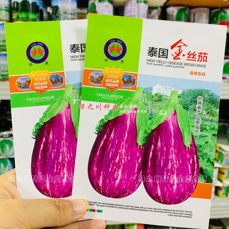 长椭圆型茄子种子彩茄种子红白绿花色条纹茄泰国金丝茄种子