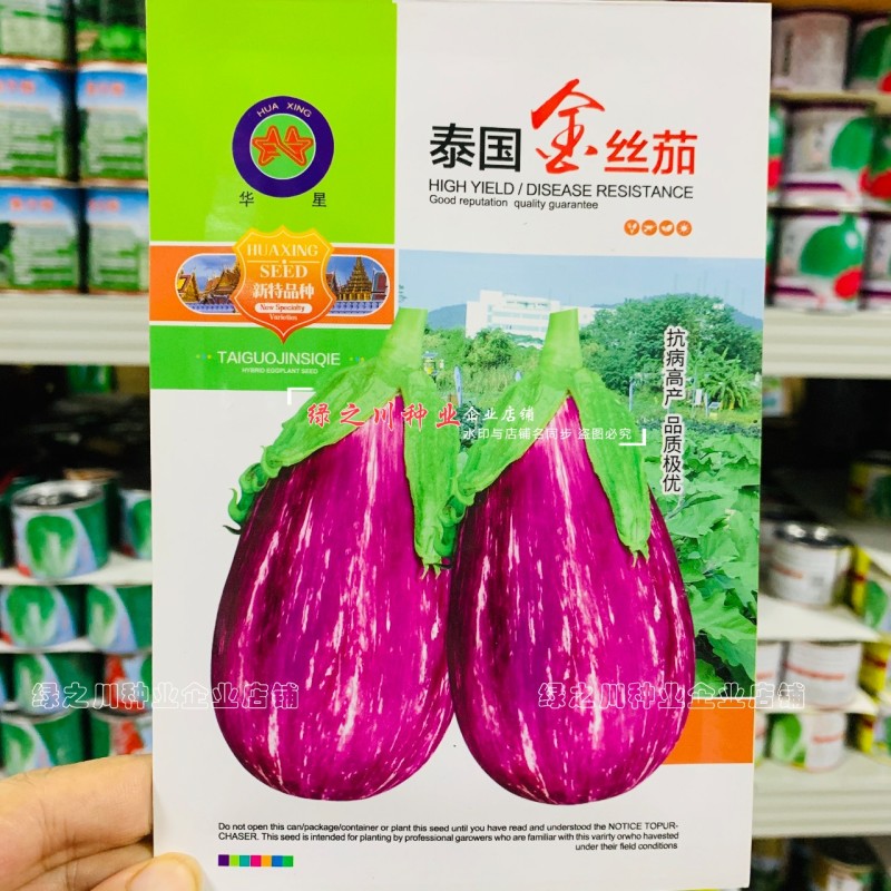 长椭圆型茄子种子彩茄种子红白绿花色条纹茄泰国金丝茄种子