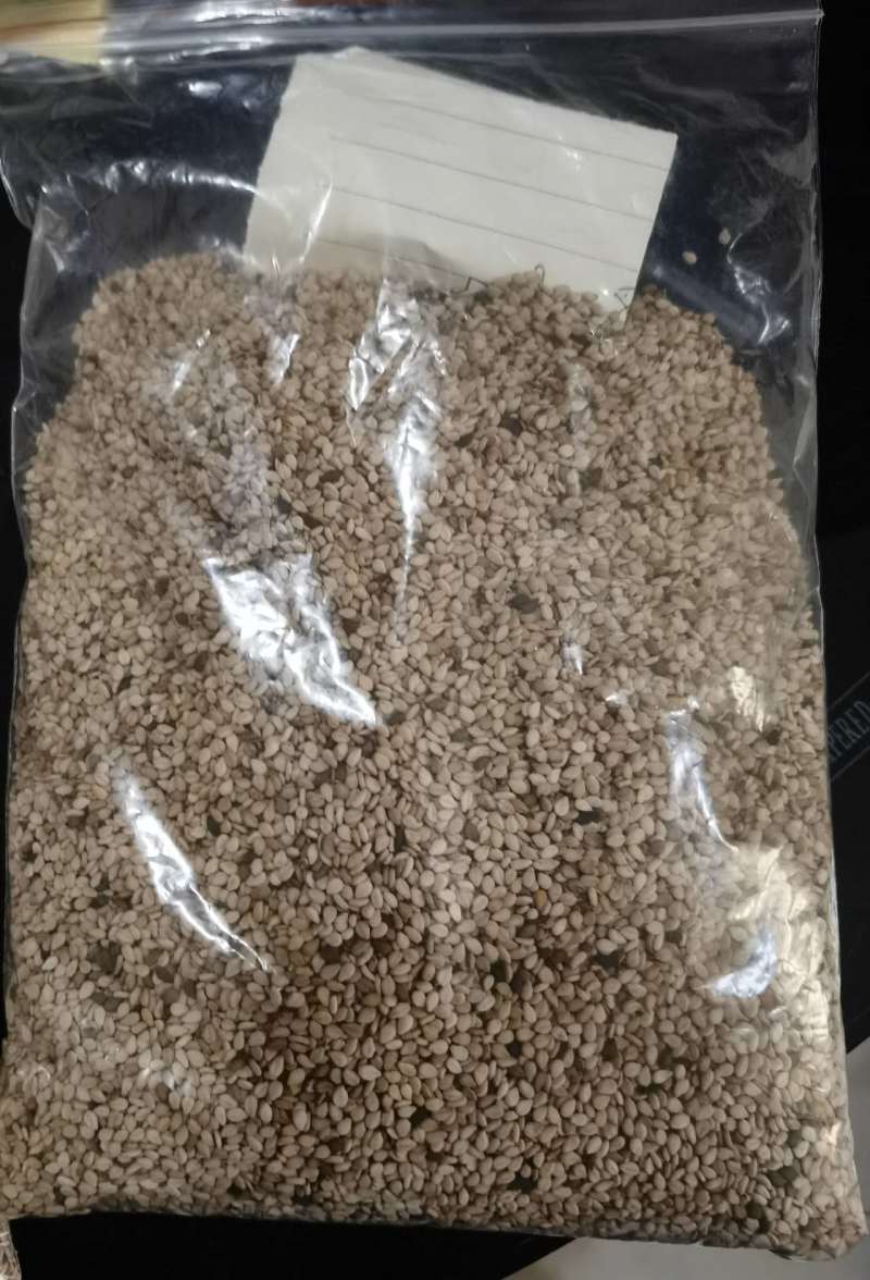 【精选】芝麻进口货源品质保证常年供应全国发货