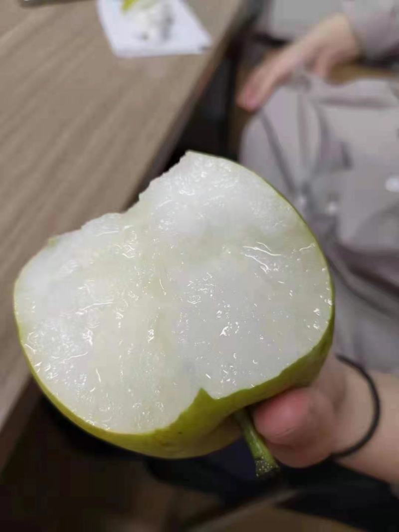 湖北沙地富硒翠冠梨