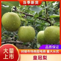2025年新品皇冠梨品质保证物美价廉欢迎大家进店选购
