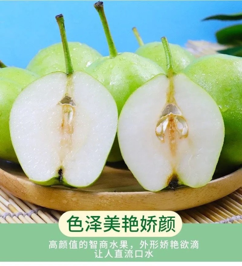甘肃省天水市早酥梨批发