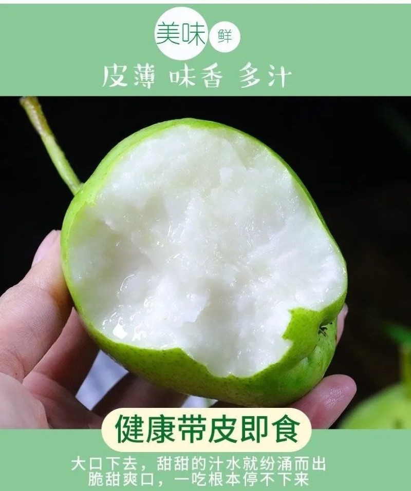 甘肃省天水市早酥梨批发