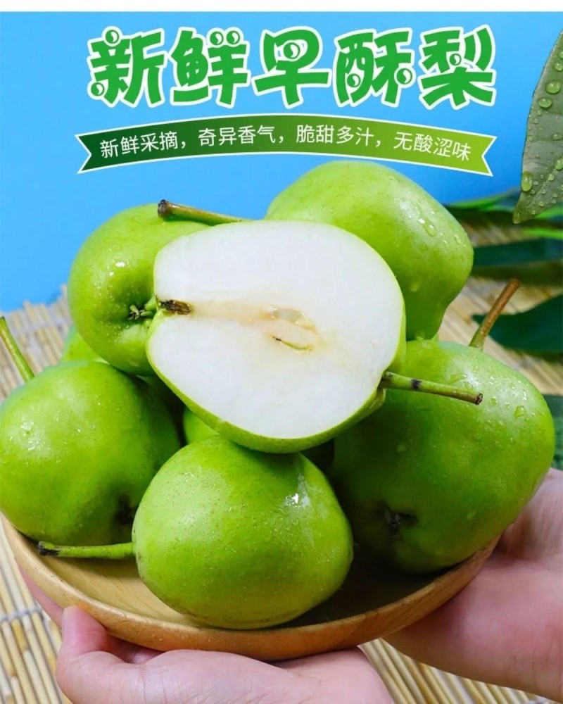 甘肃省天水市早酥梨批发