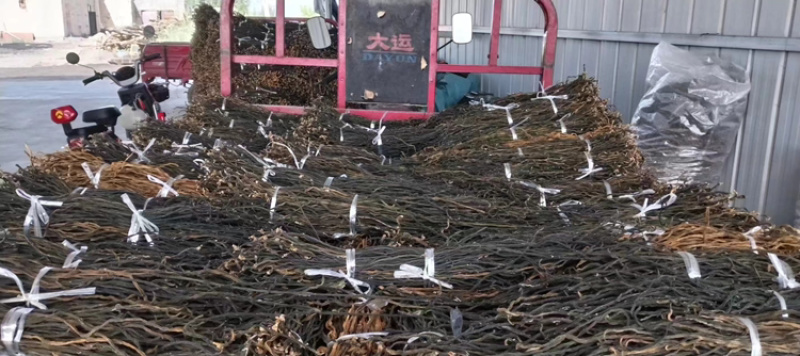 干豆角脱水长豆角基地供应全国直发量大质优欢迎采购