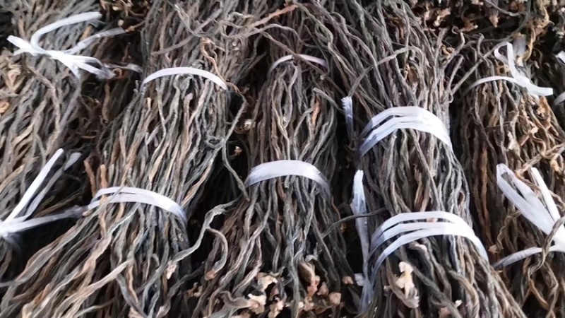 干豆角脱水长豆角基地供应全国直发量大质优欢迎采购
