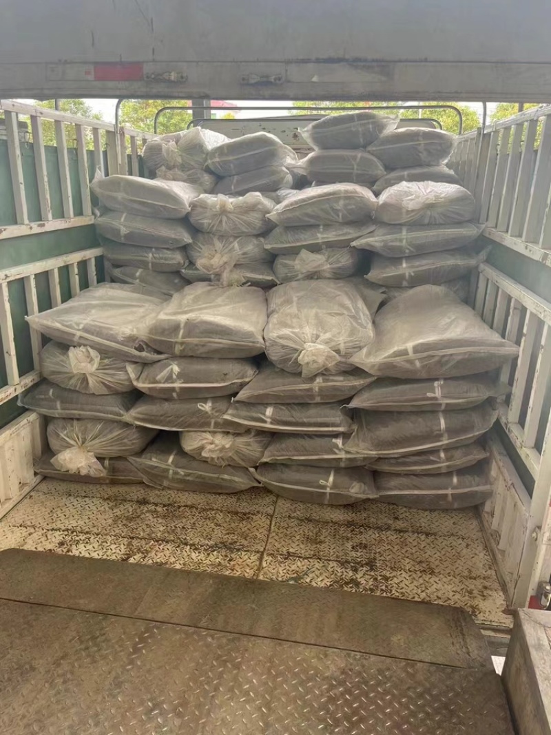 干豆角脱水长豆角基地供应全国直发量大质优欢迎采购