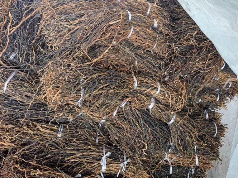 干豆角脱水长豆角基地供应全国直发量大质优欢迎采购