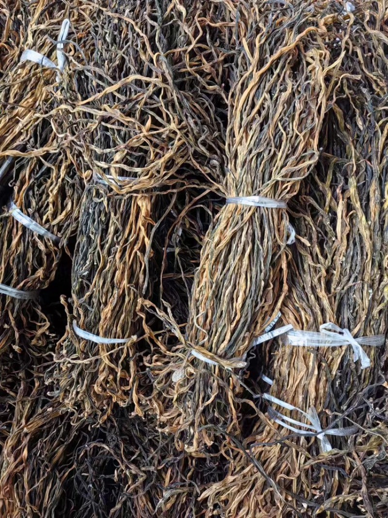 干豆角脱水长豆角基地供应全国直发量大质优欢迎采购