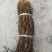 干豆角脱水长豆角基地供应全国直发量大质优欢迎采购