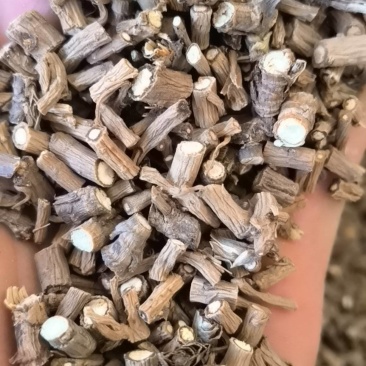 柴胡过0.3筛批发零售各种规格中药材1000g起批