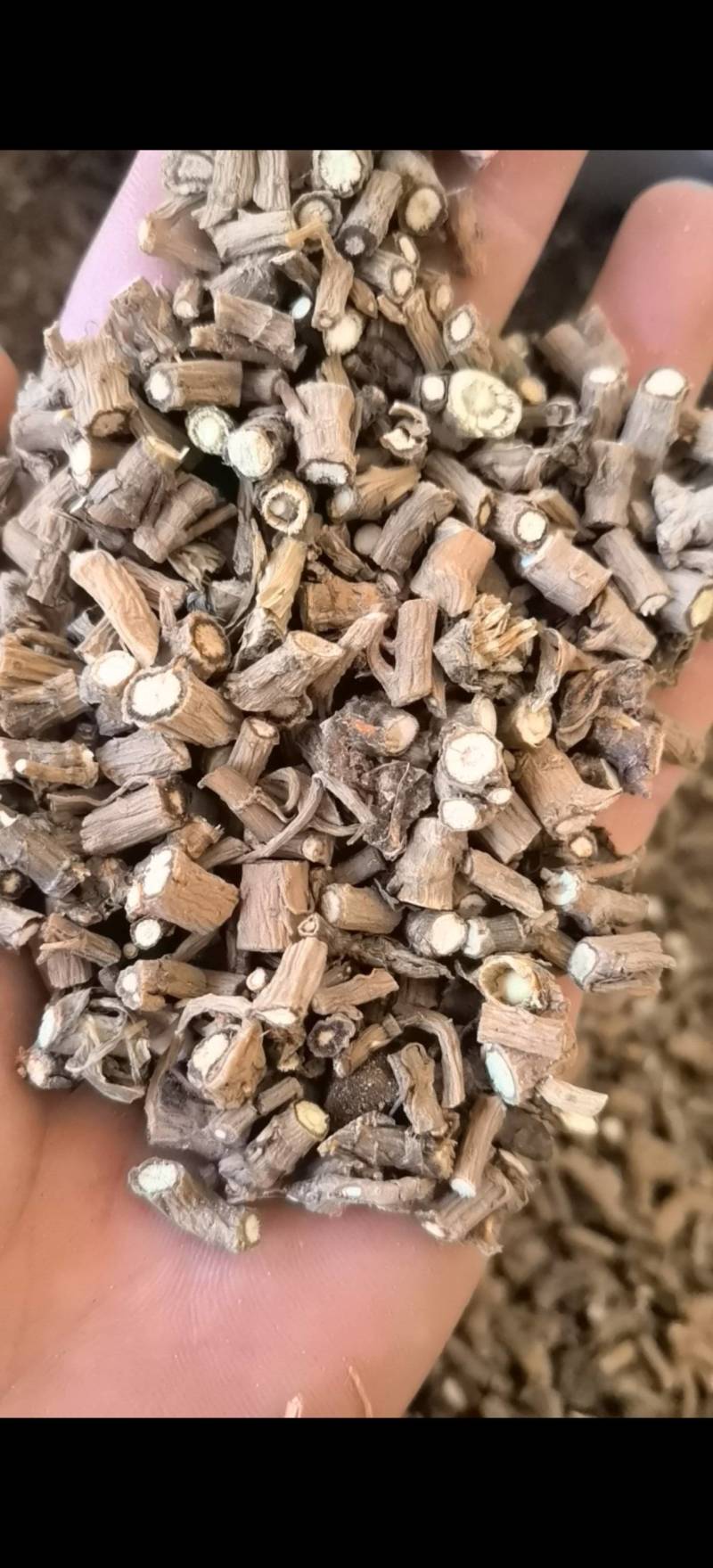 柴胡过0.3筛批发零售各种规格中药材1000g起批