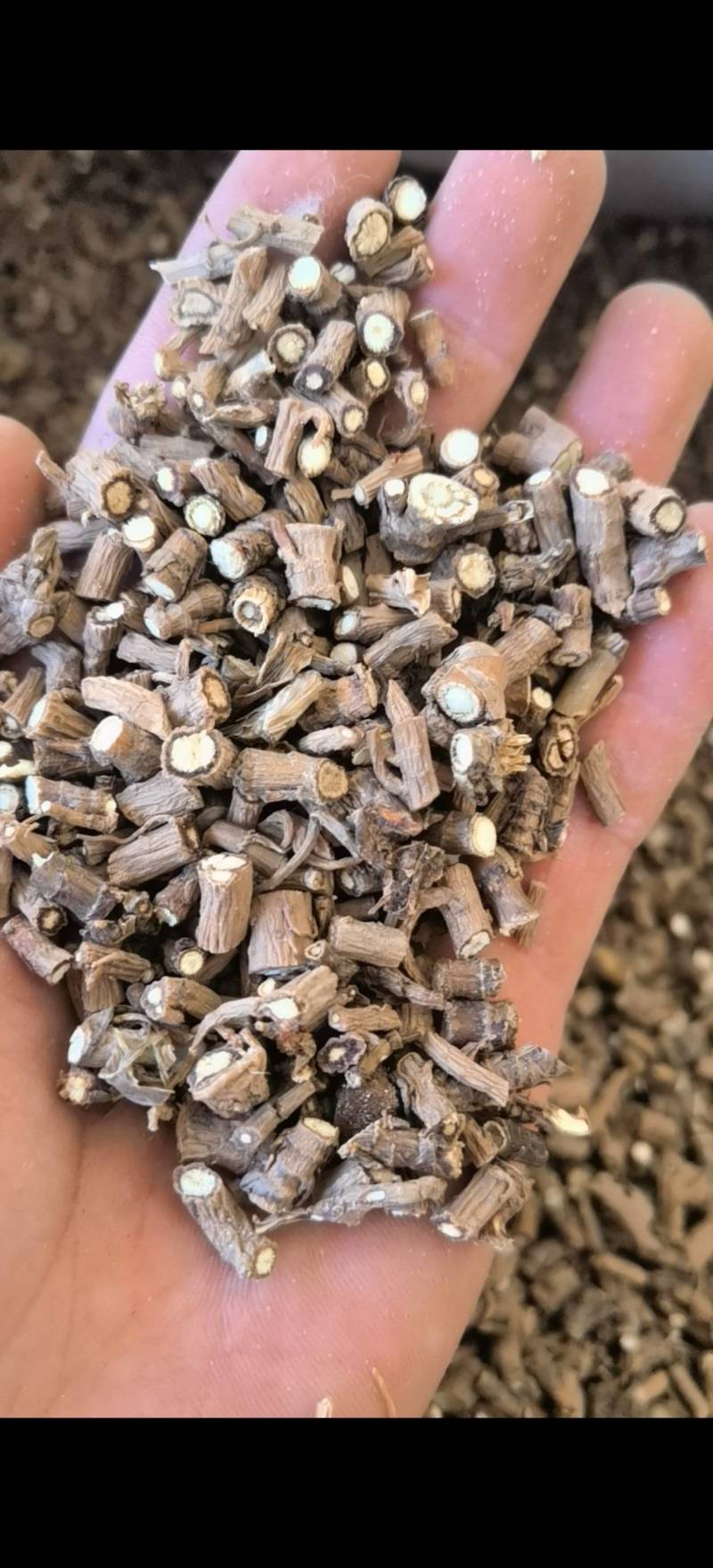 柴胡过0.3筛批发零售各种规格中药材1000g起批