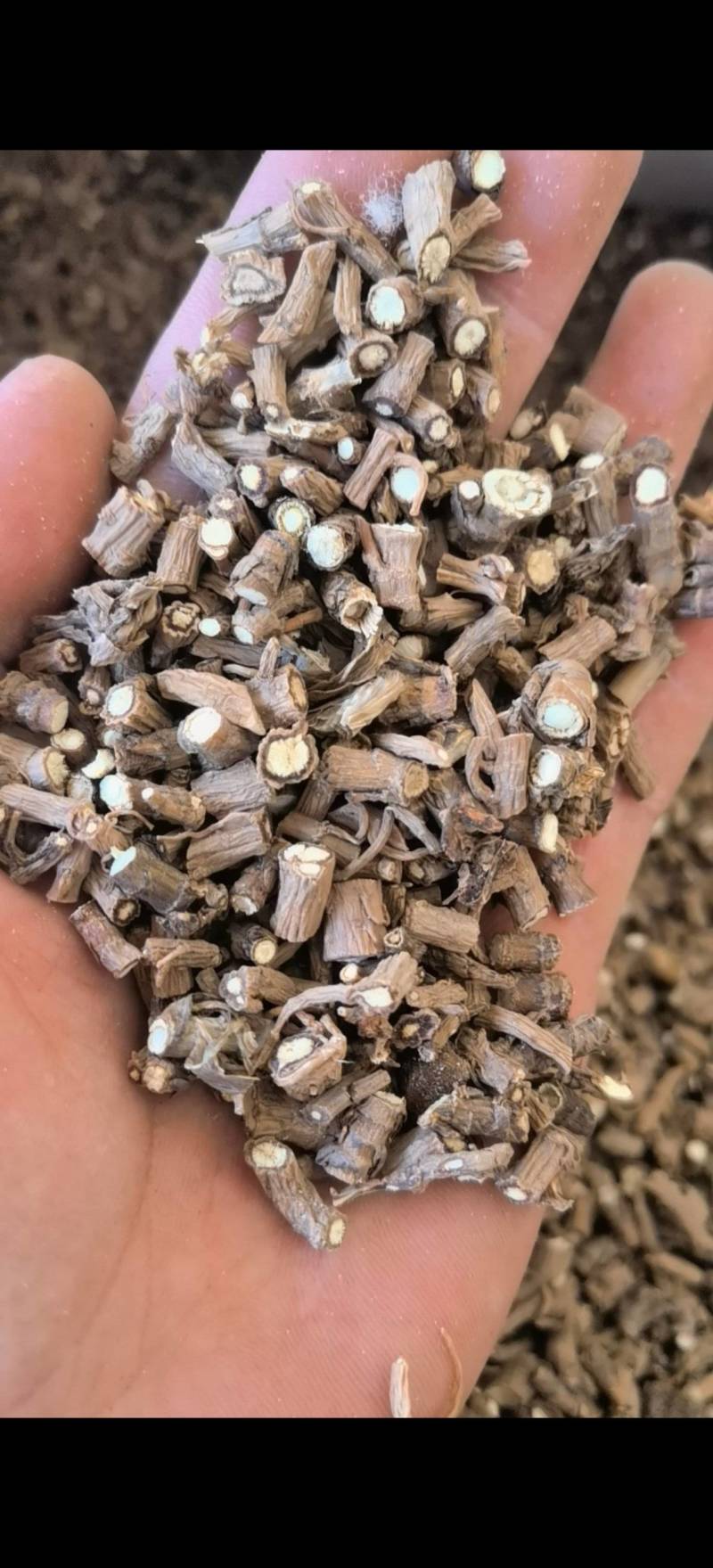 柴胡过0.3筛批发零售各种规格中药材1000g起批