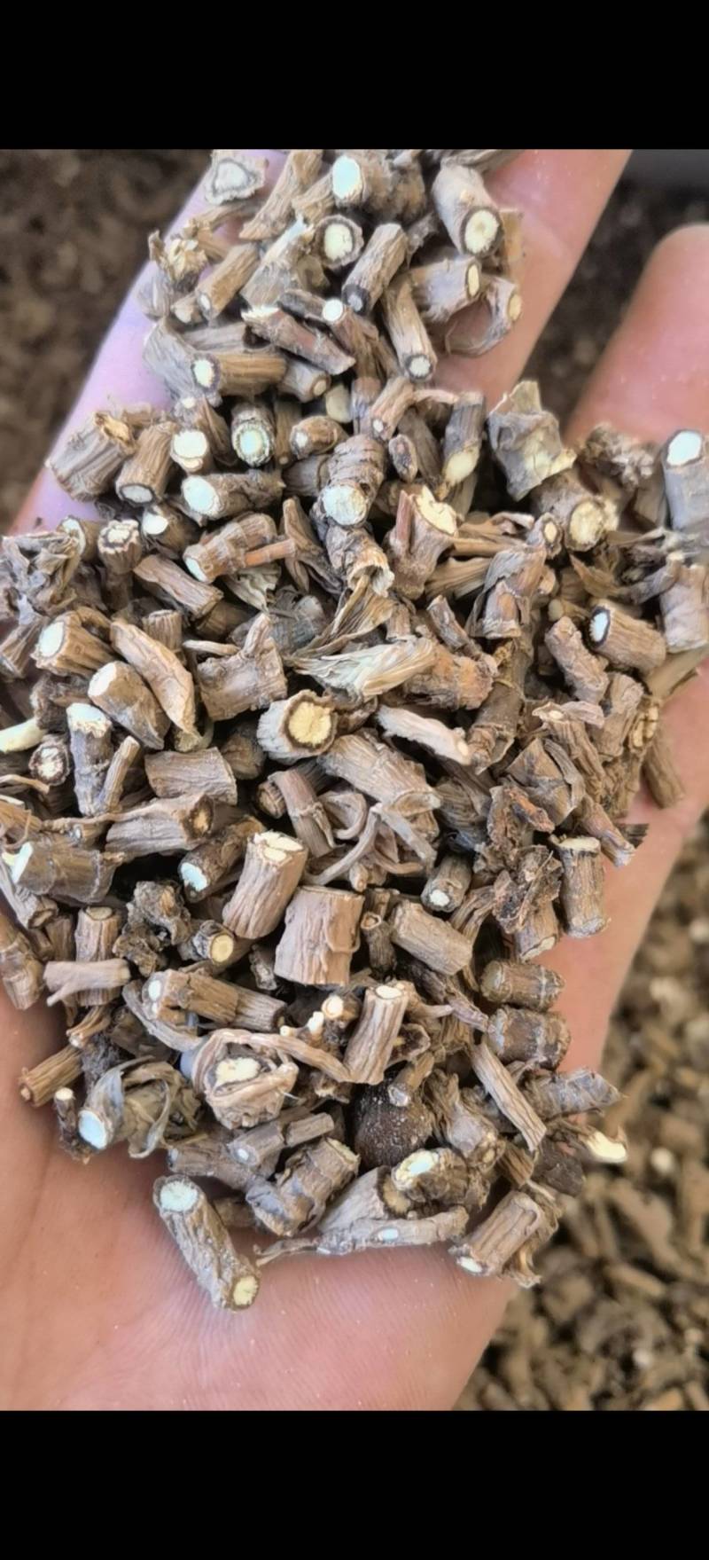 柴胡过0.3筛批发零售各种规格中药材1000g起批