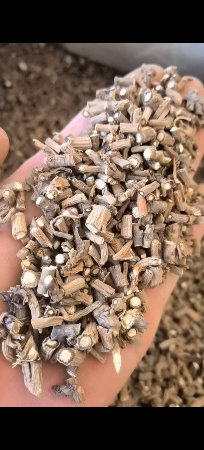 柴胡过0.3筛批发零售各种规格中药材1000g起批