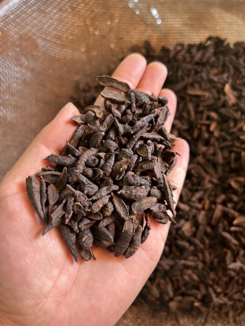 傲宇药材醋香附，香附片，诚信经营，欢迎咨询