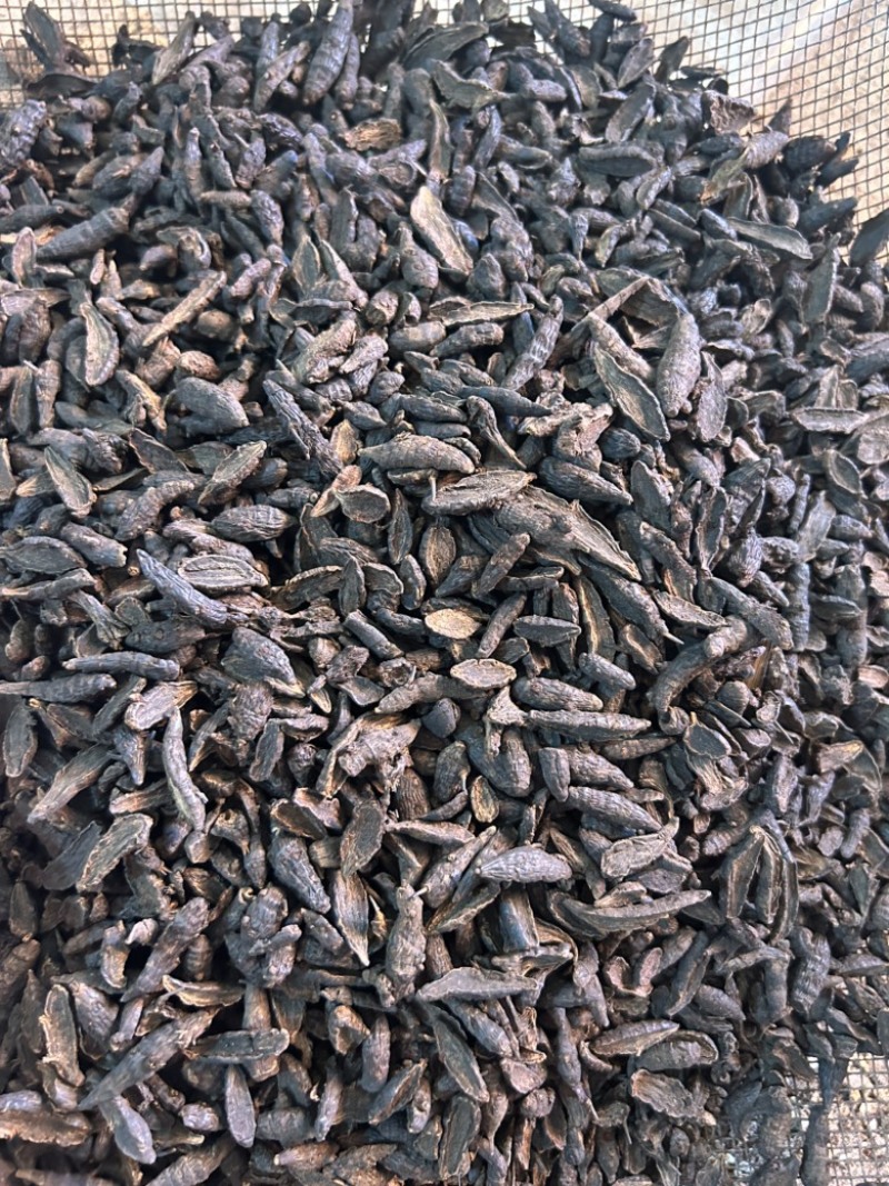 傲宇药材醋香附，香附片，诚信经营，欢迎咨询