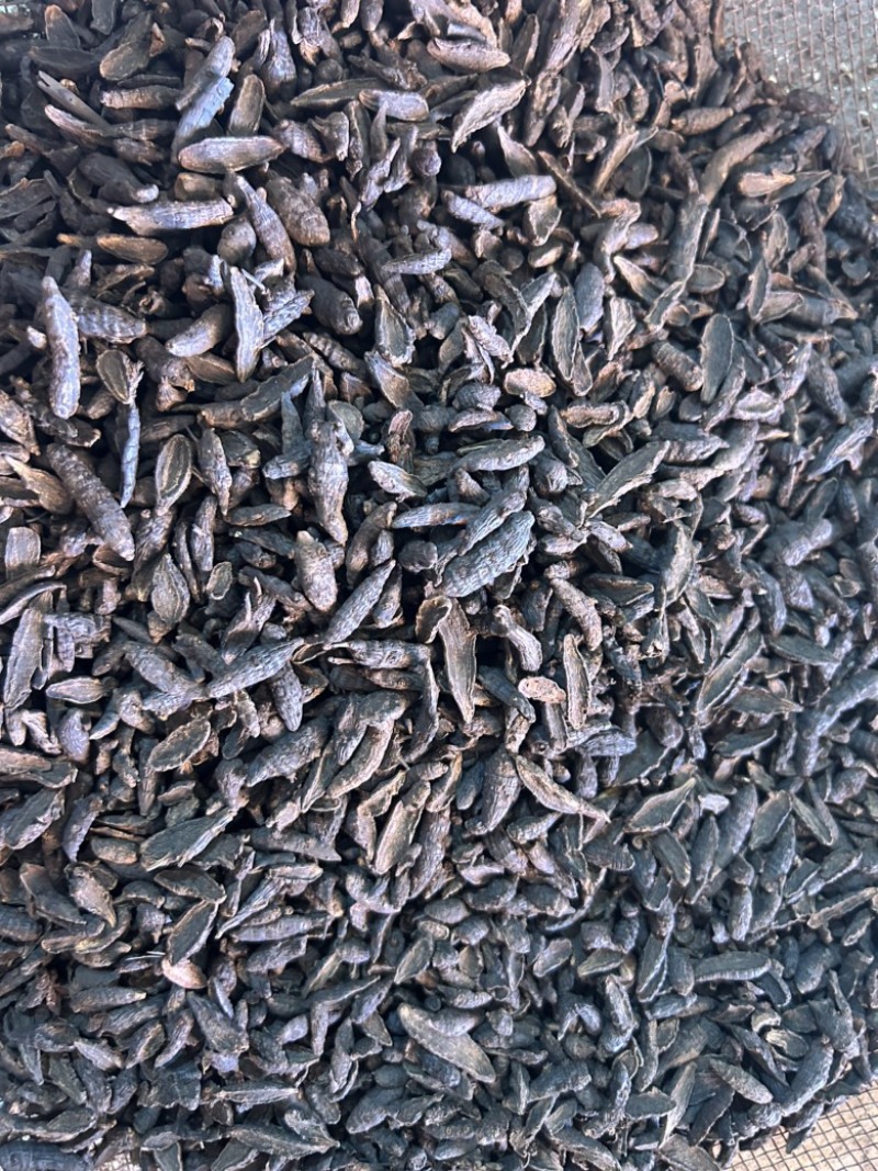 傲宇药材醋香附，香附片，诚信经营，欢迎咨询
