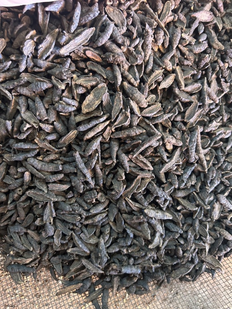 傲宇药材醋香附，香附片，诚信经营，欢迎咨询