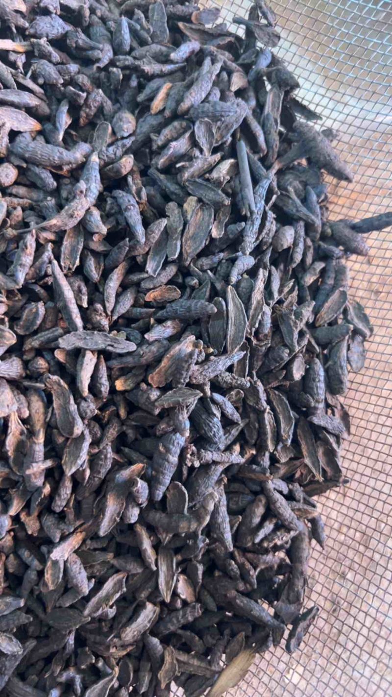 傲宇药材醋香附，香附片，诚信经营，欢迎咨询