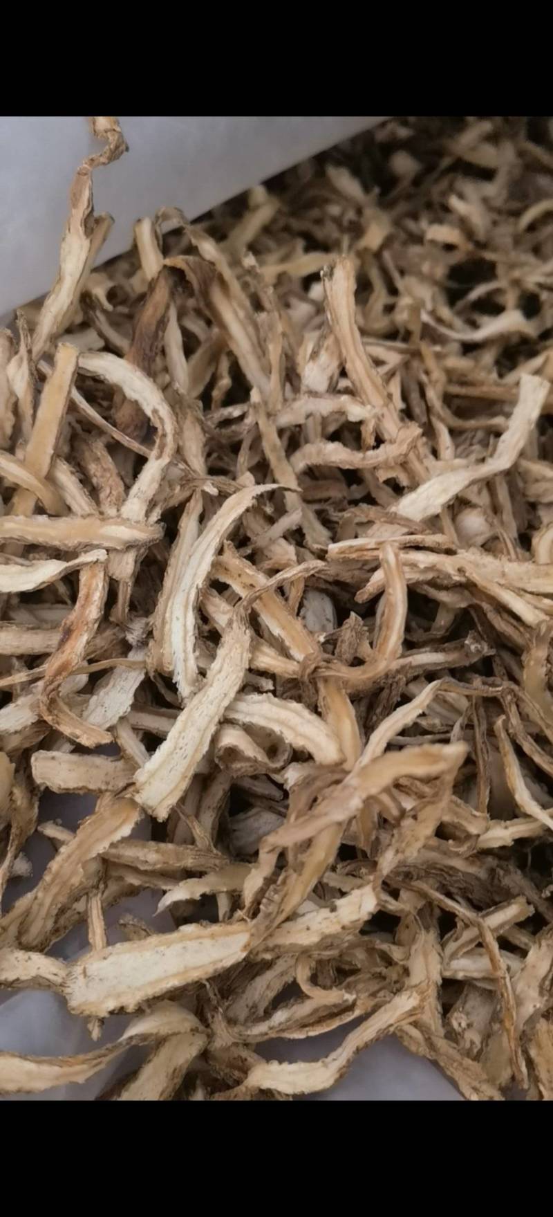 当归关书药业当归节过0.3筛新货