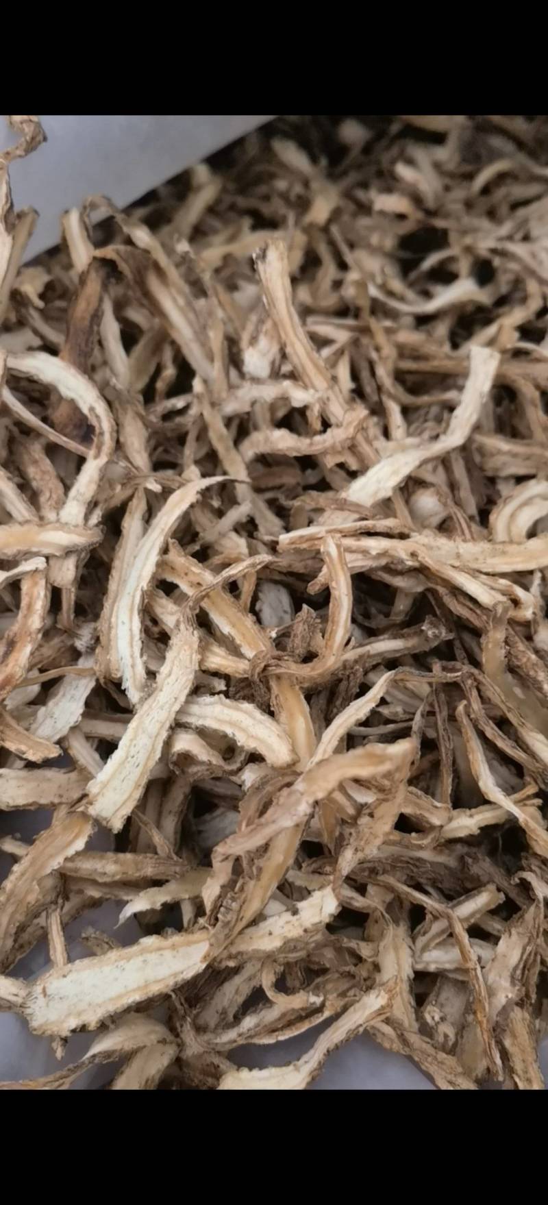 当归关书药业当归节过0.3筛新货