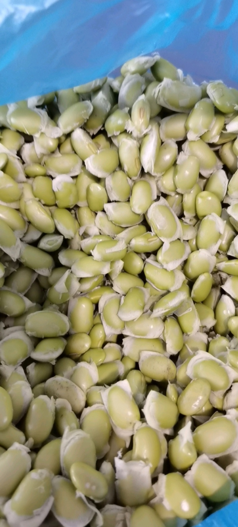 【精选】江苏鲜毛豆粒，大量供应，诚信经营欢迎来电