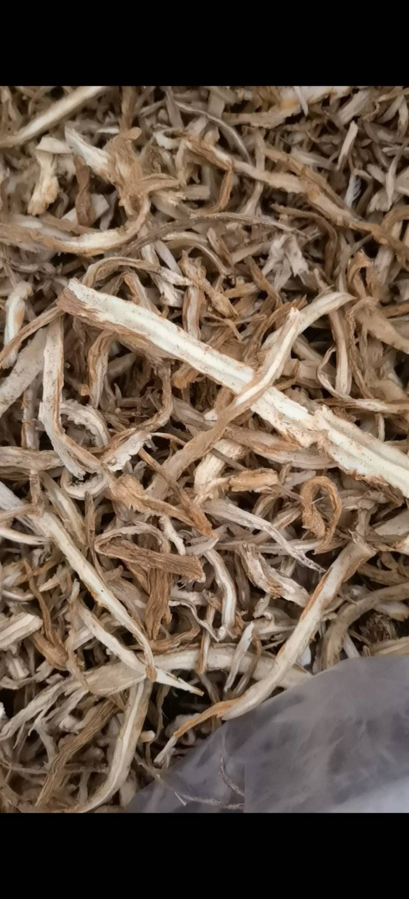当归当归节中节片统货关书药材批发中药材