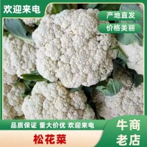 精品菜花小米花，有机花1.7-2.5斤左右，产地直供。