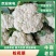 精品菜花小米花，有机花1.7-2.5斤左右，产地直供。