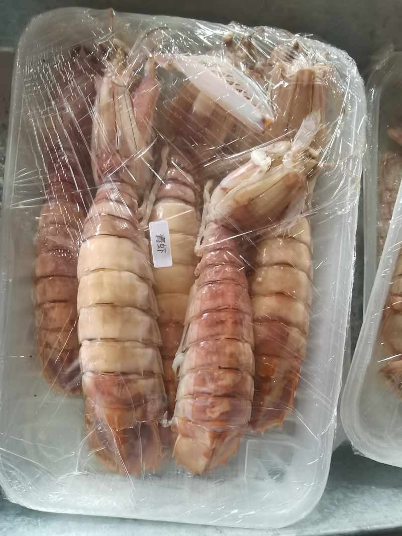 大膏虾