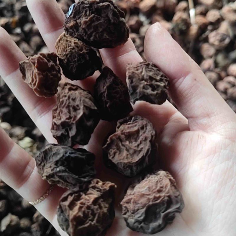 四川乌梅干大量有货质量保证量大从优欢迎咨询！