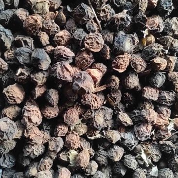 推荐四川乌梅干大量有货质量保证欢迎咨询！