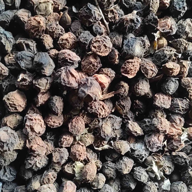 推荐四川乌梅干大量有货质量保证欢迎咨询！