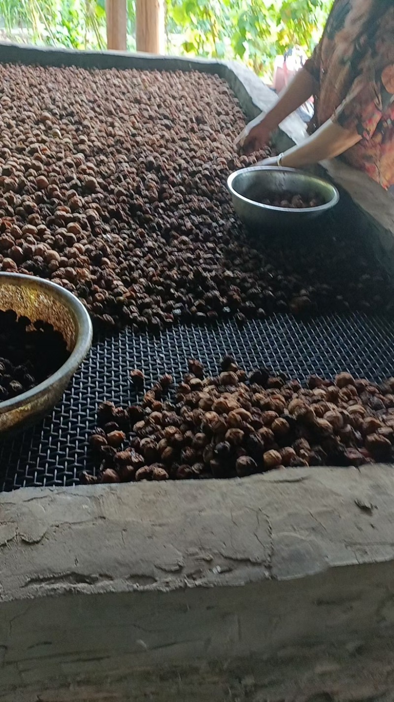 推荐四川乌梅干大量有货质量保证欢迎咨询！