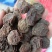 推荐四川乌梅干大量有货质量保证欢迎咨询！