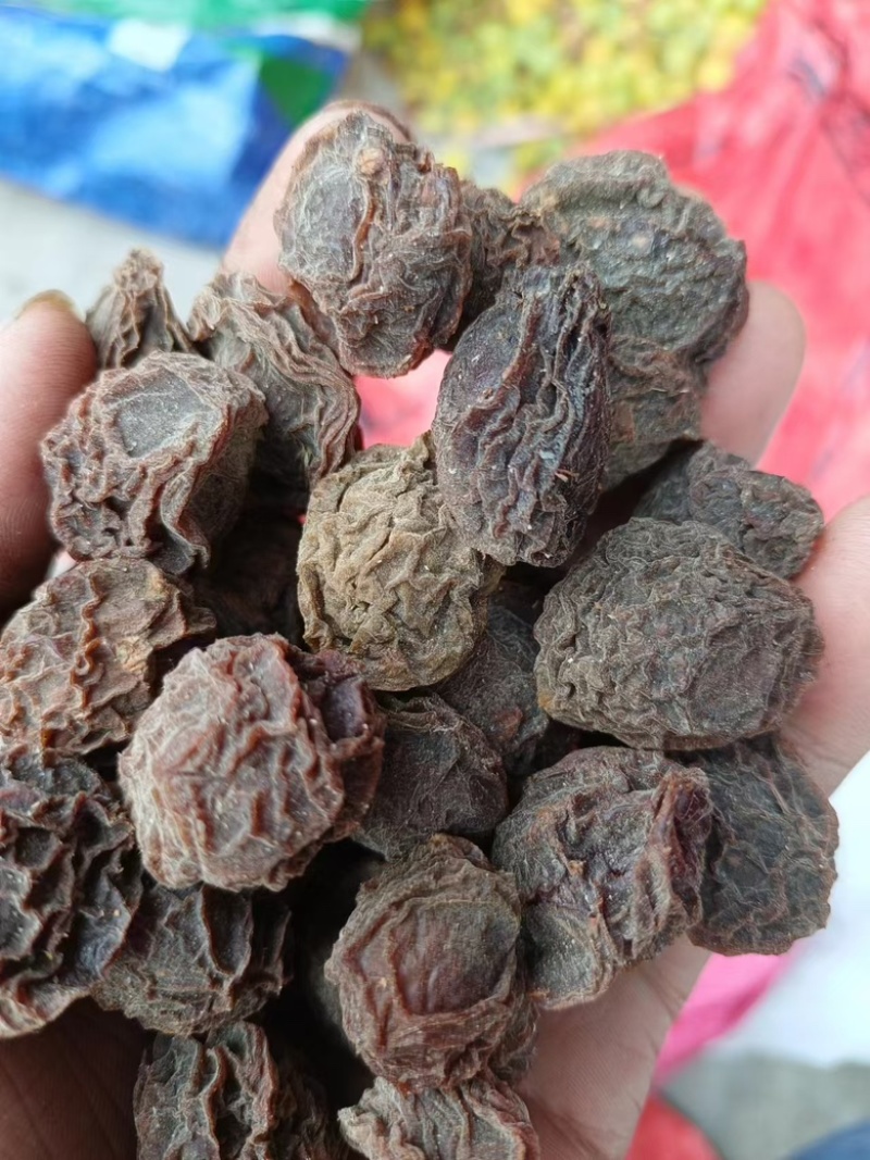 推荐四川乌梅干大量有货质量保证欢迎咨询！