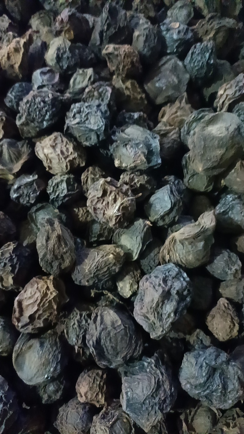推荐四川乌梅干大量有货质量保证欢迎咨询！