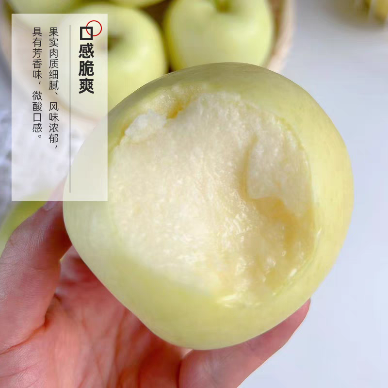 苹果《华硕苹果》山东苹果/产地批发，承接电商市场