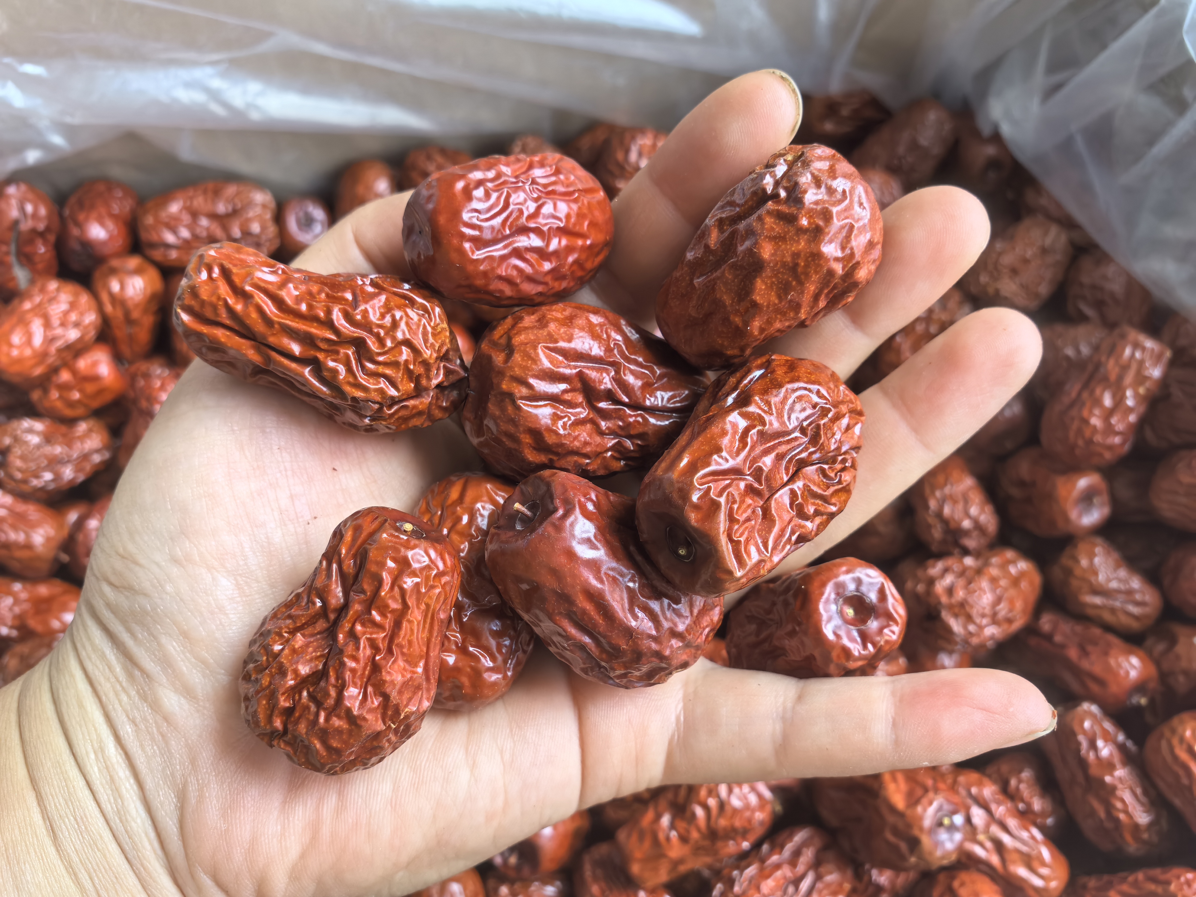 新鲜采摘的若羌红枣特写