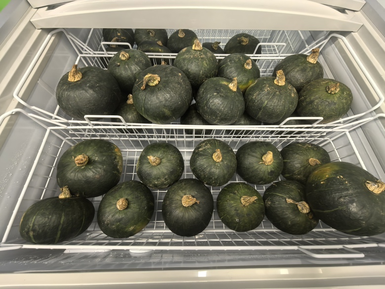 板栗南瓜实物图