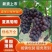 河北石家庄，精品夏黑葡萄，产地直发，交通便捷货源充足
