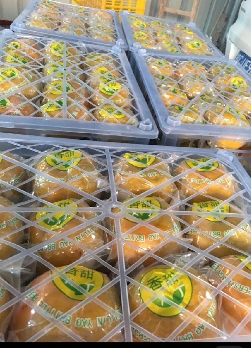 脆甜柿